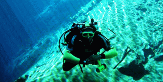 39,90€ από 70€ για μία κατάδυση γνωριμίας Scuba Diving με αυτόνομη συσκευή κατάδυσης σε ολιγομελή τμήματα & υπέροχη υποβρύχια φωτογράφηση με την Σχολή Κατάδυσης Dive Blue Dream στα Λιμανάκια Βάρκιζας.